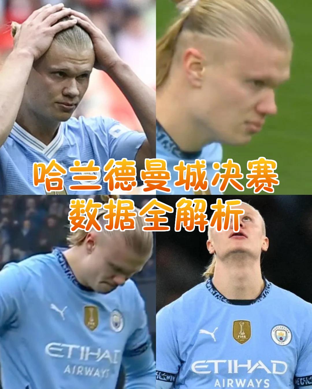 德国队带队取胜！，哈兰德重要时刻反败为胜全场沸腾不已的简单介绍-AYX SPORTS